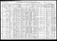 1910 United States Federal Census-9.jpg